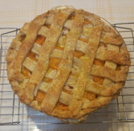 Apricot Pie by Anet Carlin